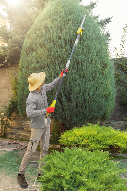 Lawn Grading and Leveling in Clinton, NY